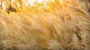 潜舰攻防沧海间