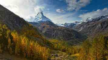 白丝脚｜温柔感穿搭指南与实拍出片技巧分享